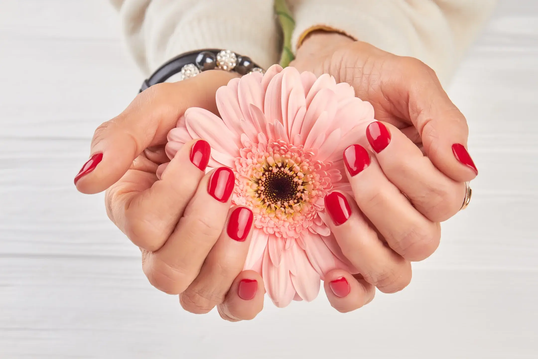 Hands holding pink flower with red manicure 2026 03 09 05 15 16 utc