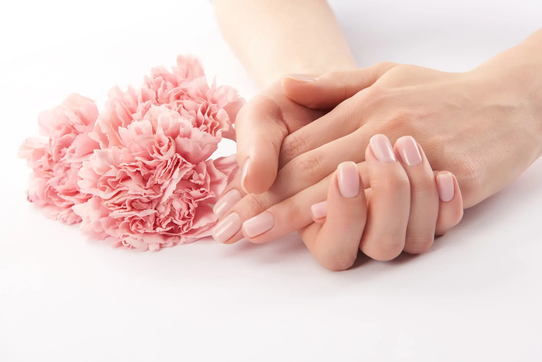 Partial view of female hands and carnations flower 2026 01 06 00 40 49 utc