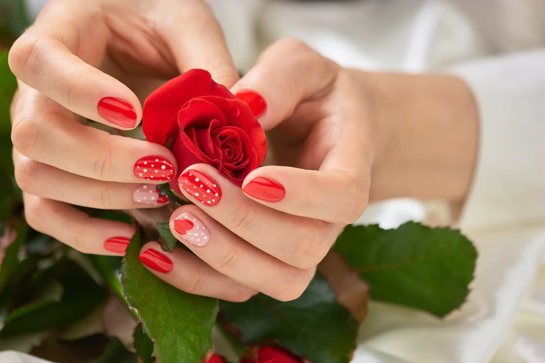 Woman s hands holding red rose with painted nails 2026 03 09 04 35 57 utc
